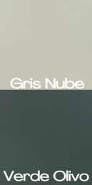 Gris Nube y Verde Olivo