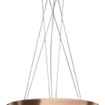 Dama-Cob-1