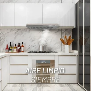 NUUR CAMPANA EXTRACTORA DECORATIVA PARED 80CM ACERO CAMEXPA80A